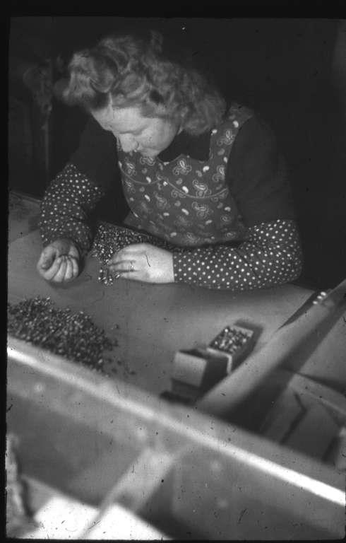 Staatsarchiv Luzern - Bilderschatz