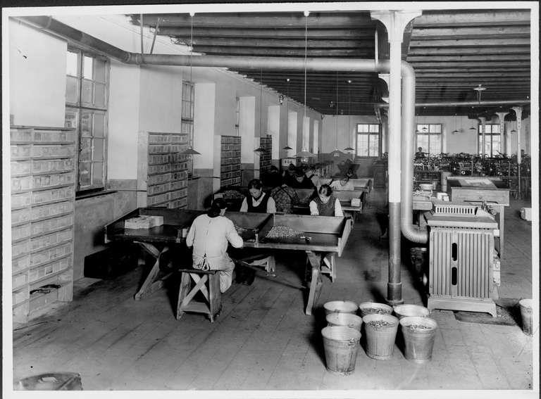 Staatsarchiv Luzern - Bilderschatz