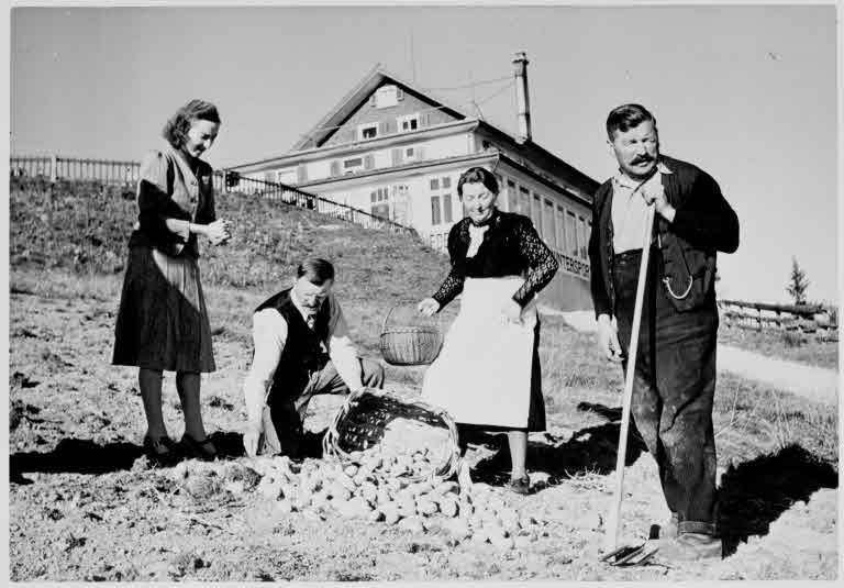 Staatsarchiv Luzern - Bilderschatz