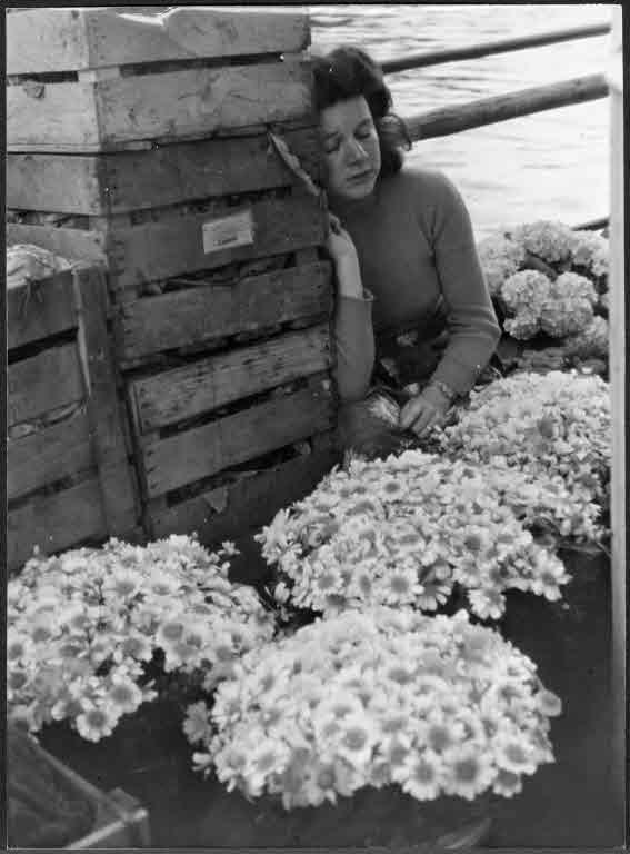 Staatsarchiv Luzern - Bilderschatz