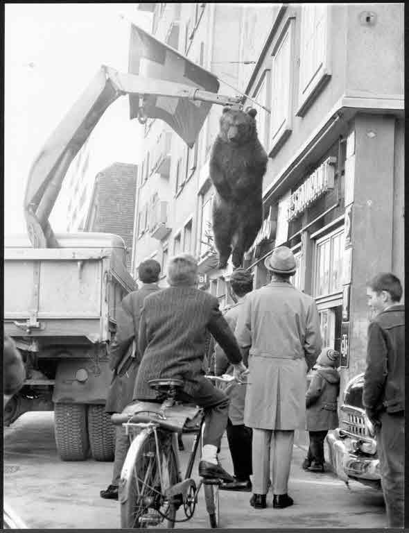 Staatsarchiv Luzern - Bilderschatz