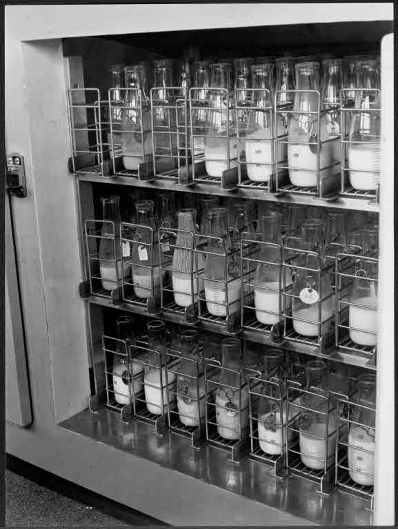 Staatsarchiv Luzern - Bilderschatz