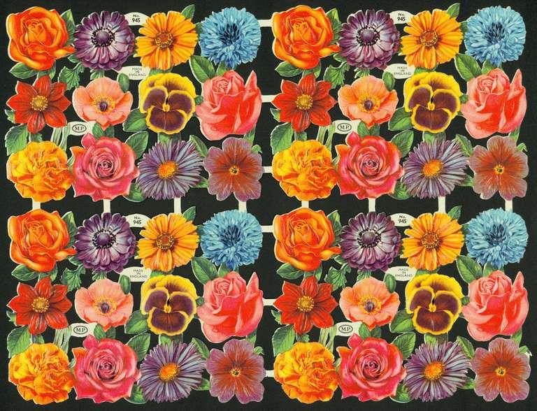 Staatsarchiv Luzern - Bilderschatz