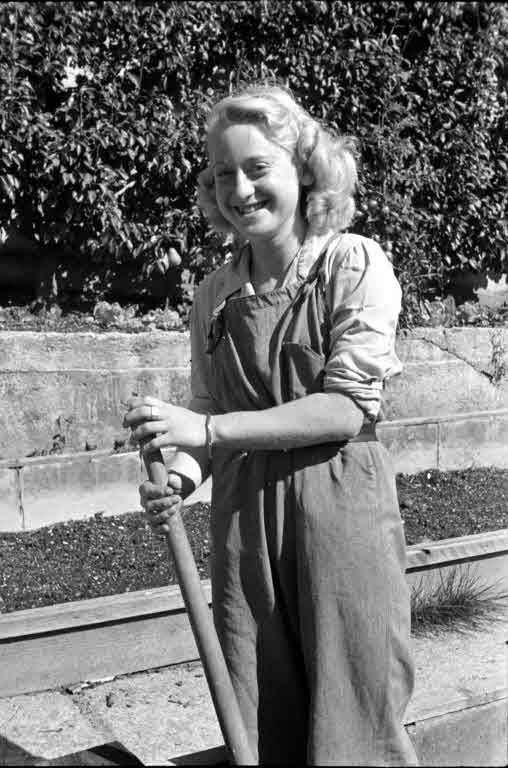 Staatsarchiv Luzern - Bilderschatz