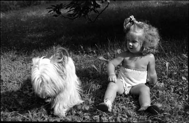 Staatsarchiv Luzern - Bilderschatz