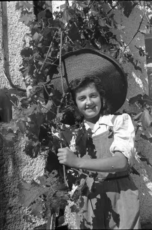 Staatsarchiv Luzern - Bilderschatz