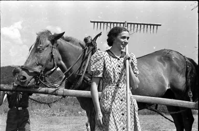 Staatsarchiv Luzern - Bilderschatz