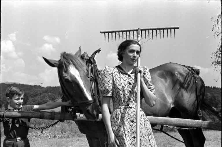 Staatsarchiv Luzern - Bilderschatz