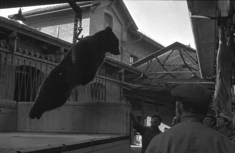 Staatsarchiv Luzern - Bilderschatz