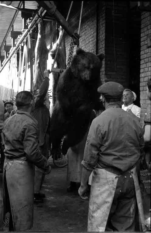 Staatsarchiv Luzern - Bilderschatz