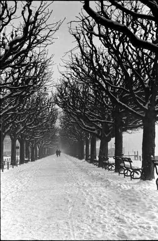 Staatsarchiv Luzern - Bilderschatz