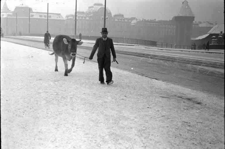 Staatsarchiv Luzern - Bilderschatz