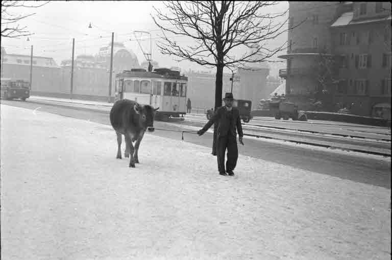 Staatsarchiv Luzern - Bilderschatz