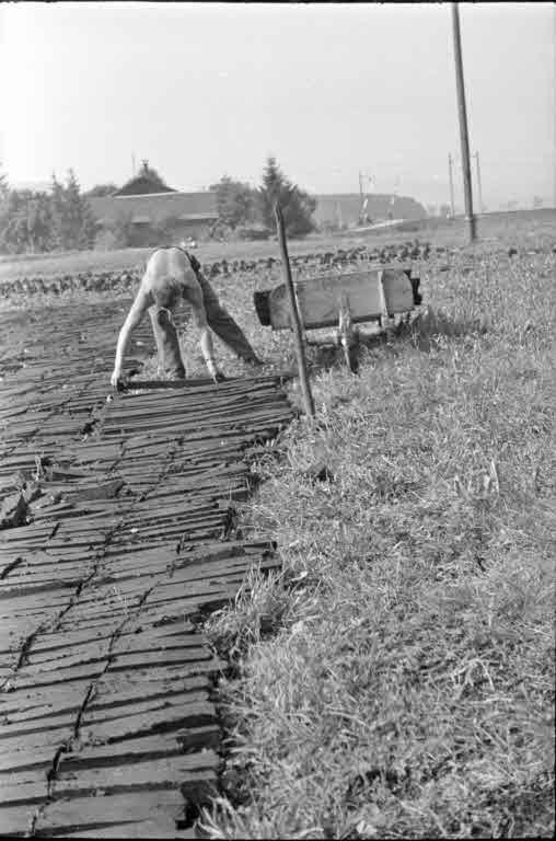 Staatsarchiv Luzern - Bilderschatz