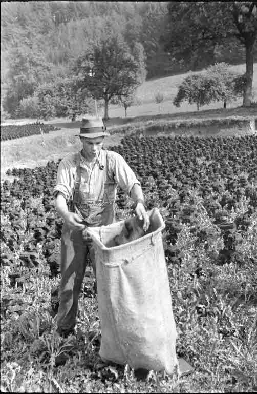 Staatsarchiv Luzern - Bilderschatz
