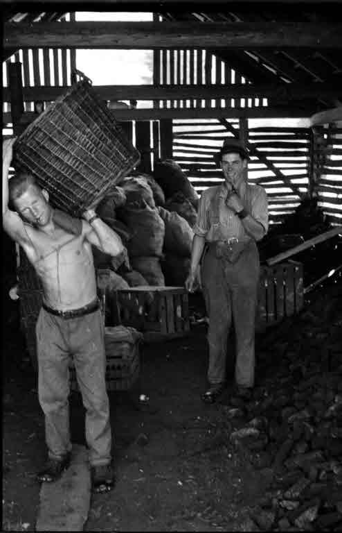 Staatsarchiv Luzern - Bilderschatz