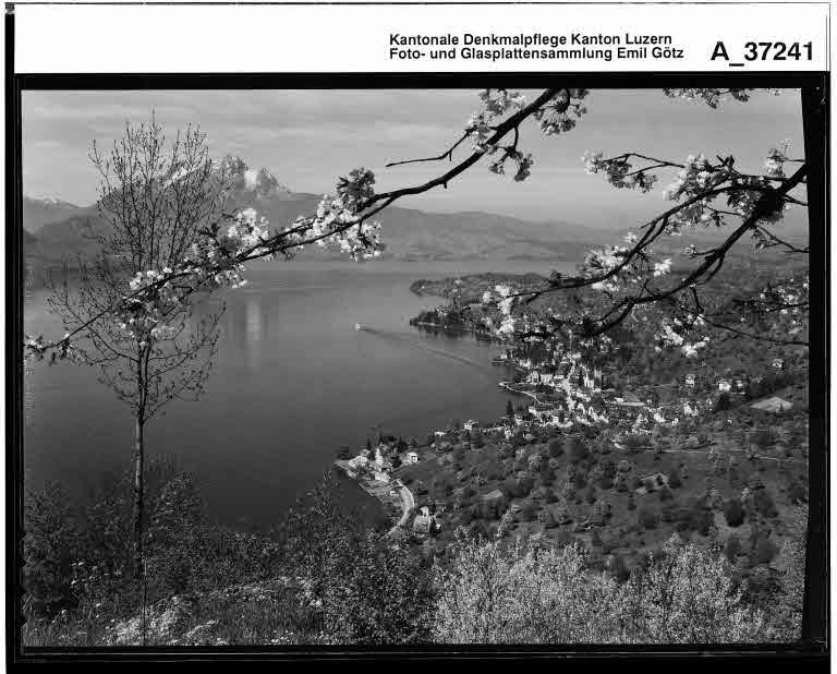 Staatsarchiv Luzern - Bilderschatz