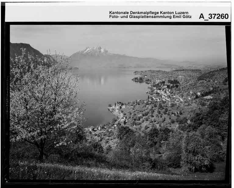 Staatsarchiv Luzern - Bilderschatz