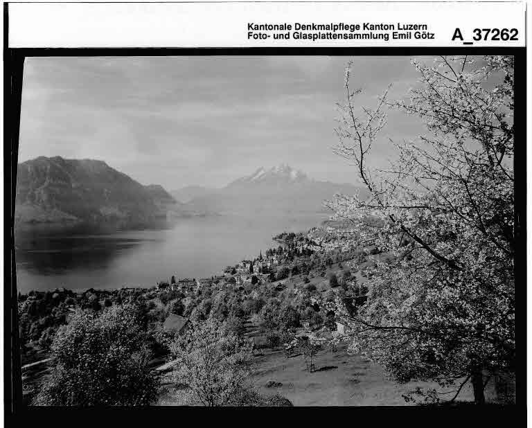 Staatsarchiv Luzern - Bilderschatz