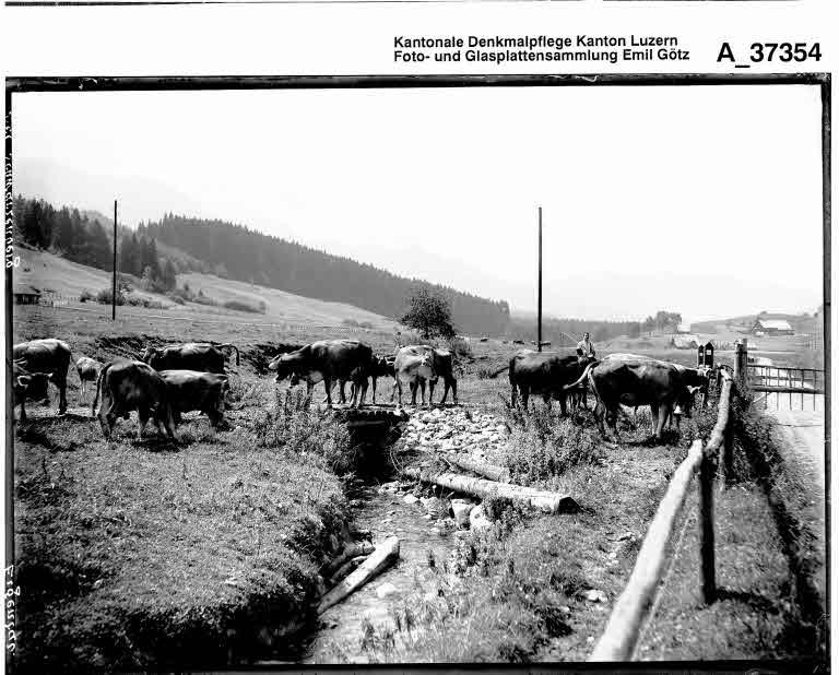 Staatsarchiv Luzern - Bilderschatz