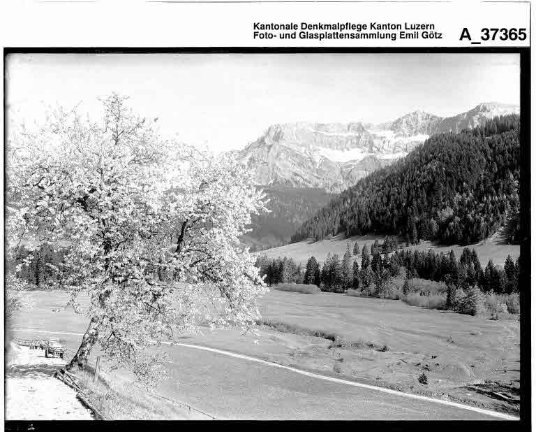Staatsarchiv Luzern - Bilderschatz