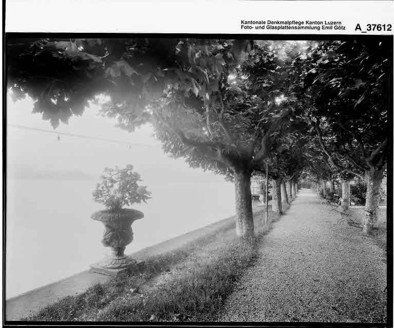 Staatsarchiv Luzern - Bilderschatz