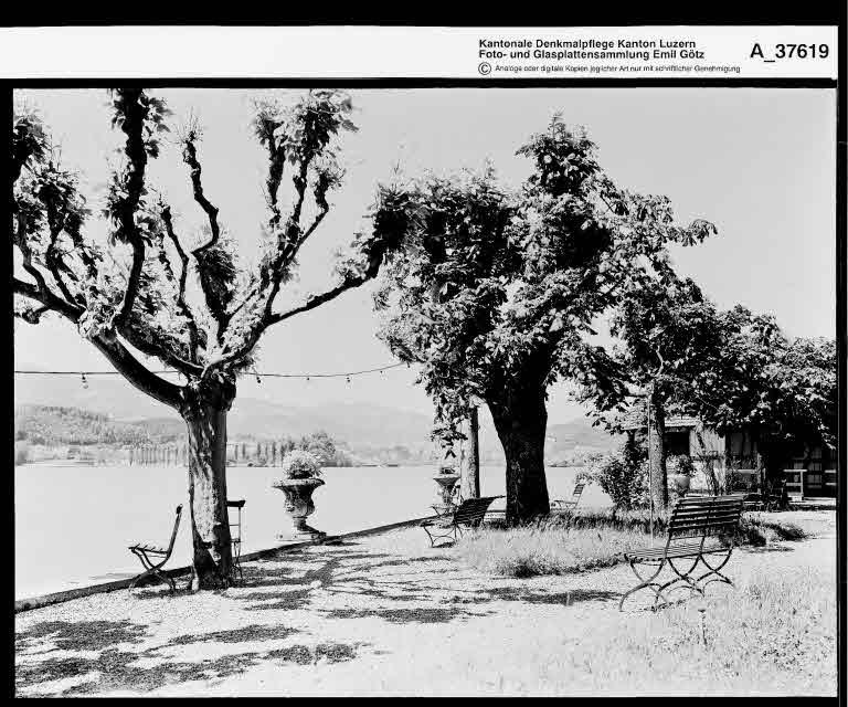 Staatsarchiv Luzern - Bilderschatz