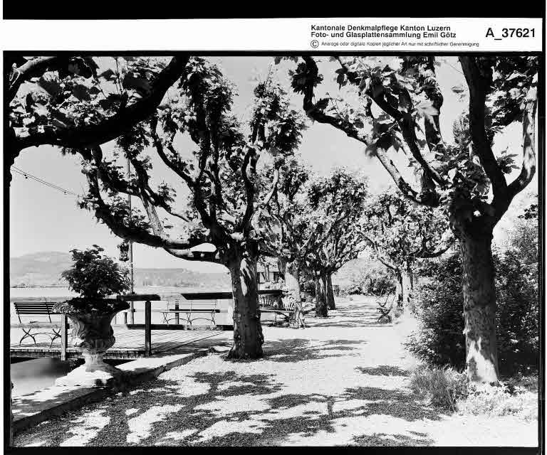 Staatsarchiv Luzern - Bilderschatz