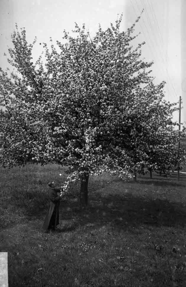 Staatsarchiv Luzern - Bilderschatz