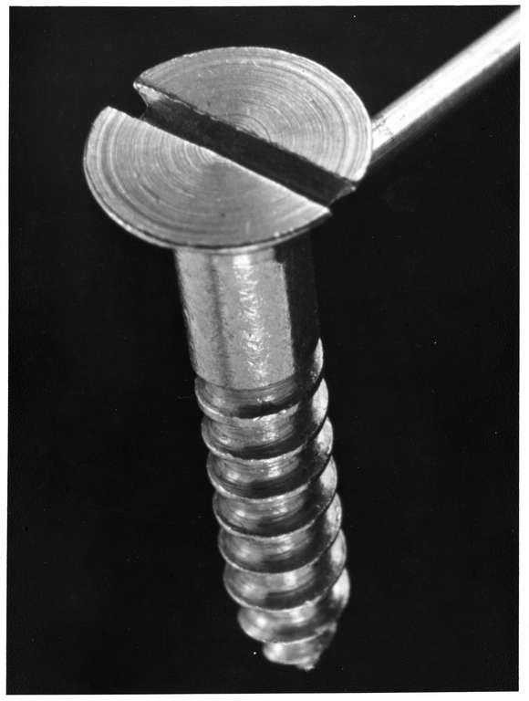 Staatsarchiv Luzern - Bilderschatz