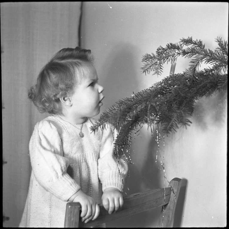 Staatsarchiv Luzern - Bilderschatz