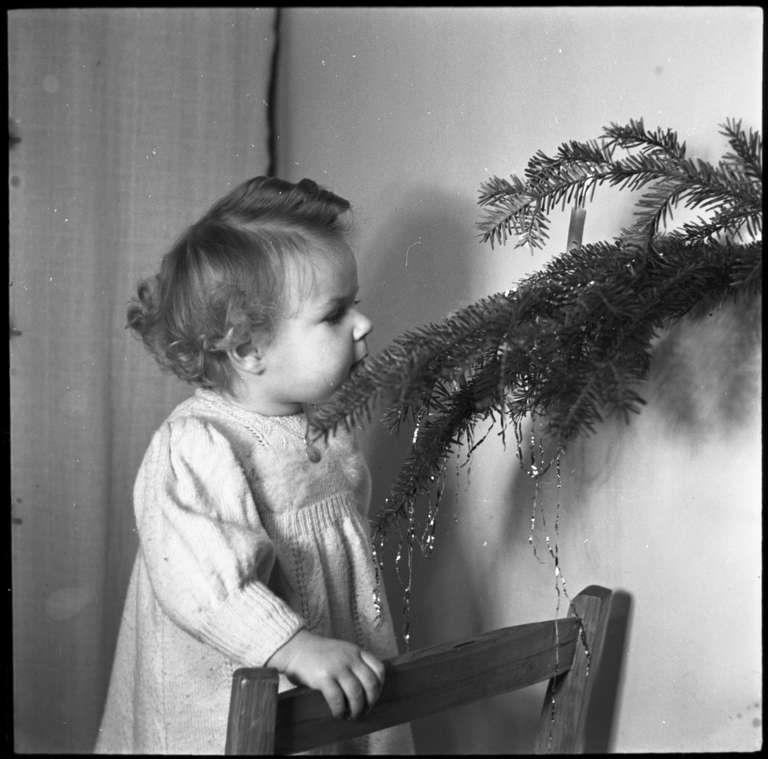 Staatsarchiv Luzern - Bilderschatz