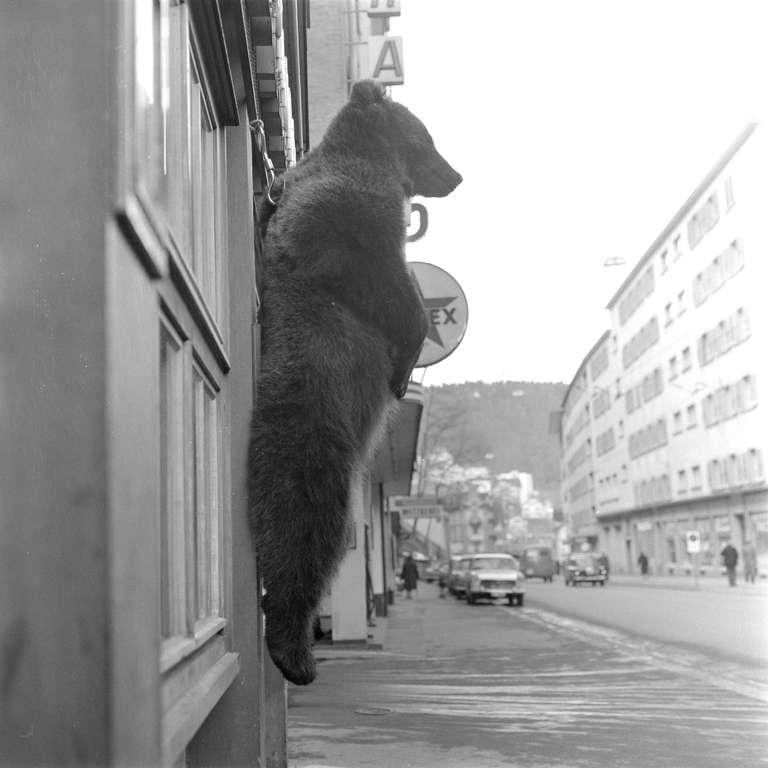 Staatsarchiv Luzern - Bilderschatz