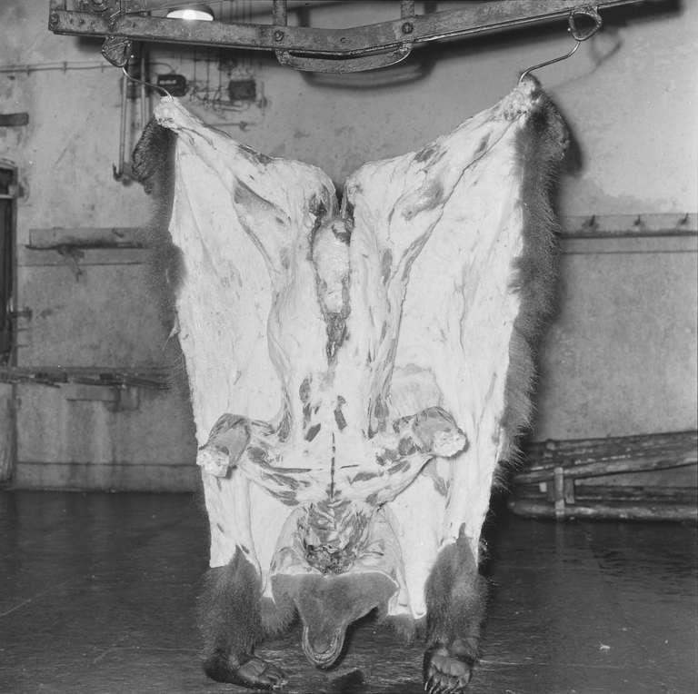 Staatsarchiv Luzern - Bilderschatz