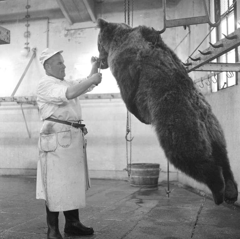 Staatsarchiv Luzern - Bilderschatz