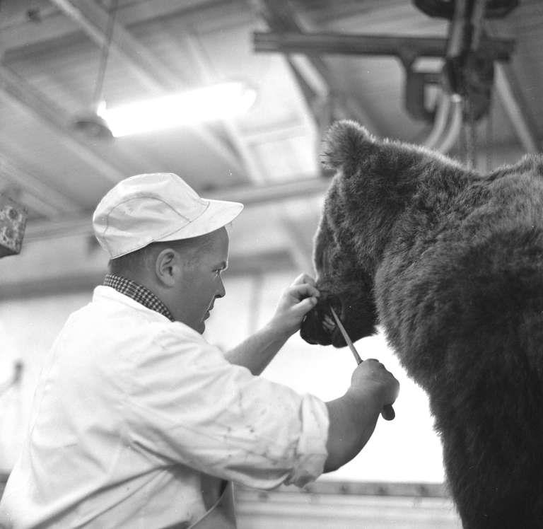 Staatsarchiv Luzern - Bilderschatz