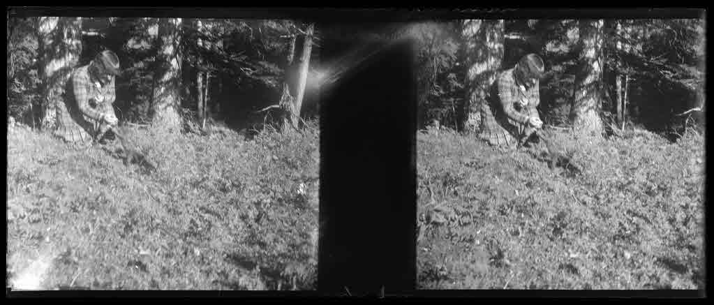 Staatsarchiv Luzern - Bilderschatz