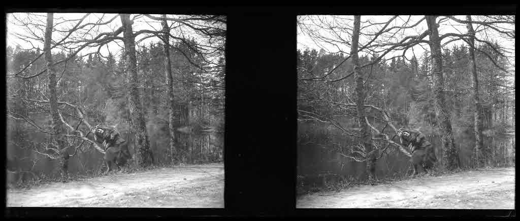 Staatsarchiv Luzern - Bilderschatz