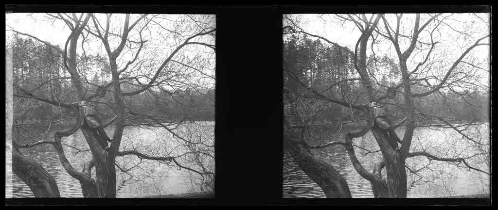 Staatsarchiv Luzern - Bilderschatz