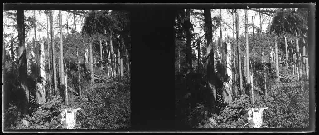 Staatsarchiv Luzern - Bilderschatz