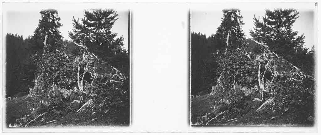 Staatsarchiv Luzern - Bilderschatz