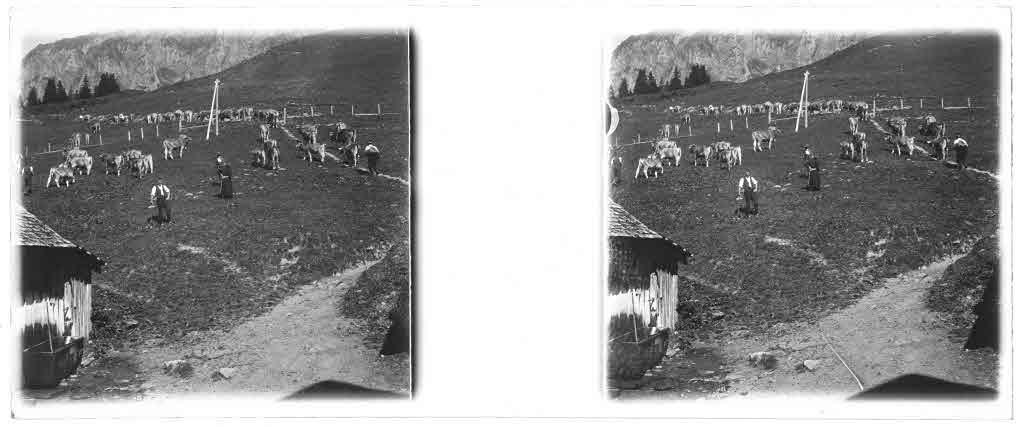 Staatsarchiv Luzern - Bilderschatz