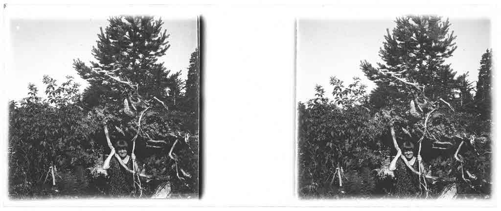 Staatsarchiv Luzern - Bilderschatz