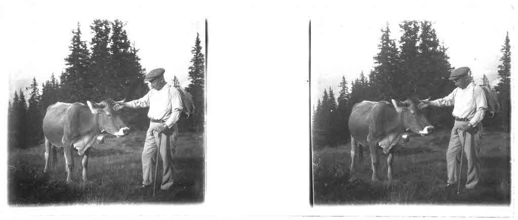 Staatsarchiv Luzern - Bilderschatz